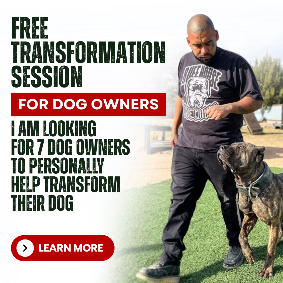 🗣️ Dog Owners! Free Transformation Session For...