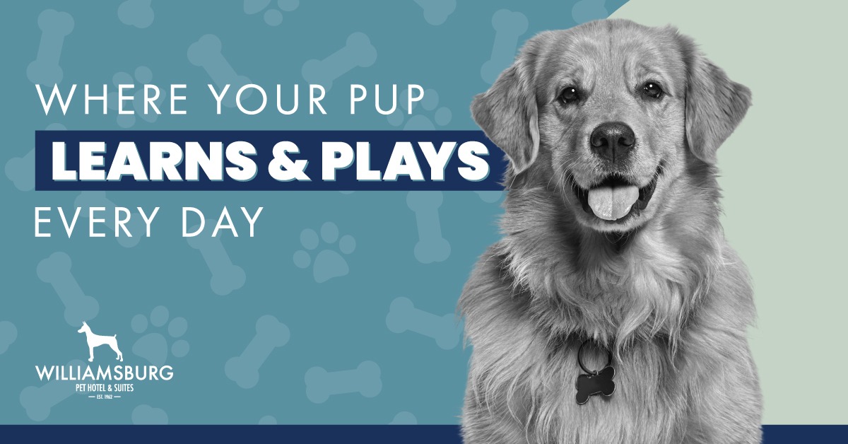 Expert Training. Amazing Results.