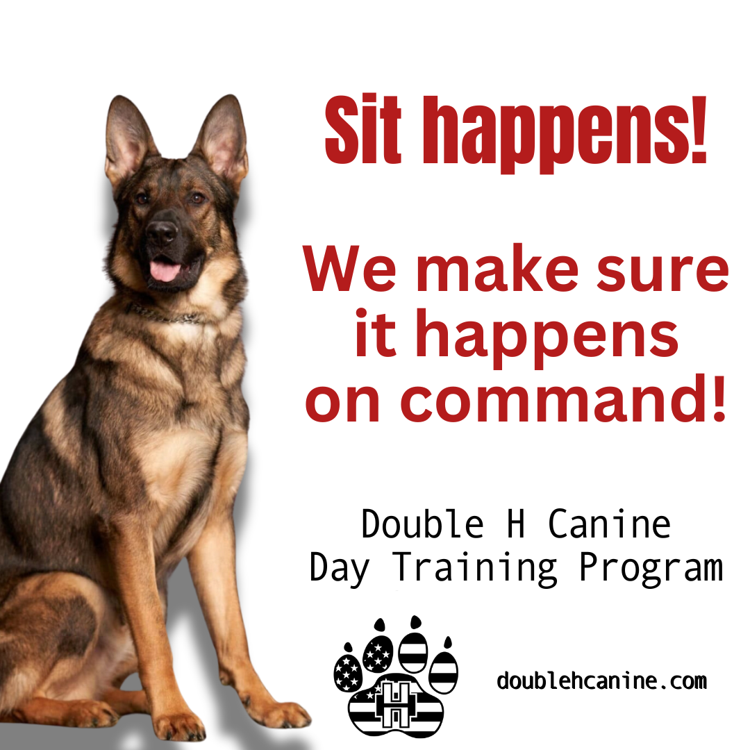 Double H Canine Training Academy Dog Training ad creative