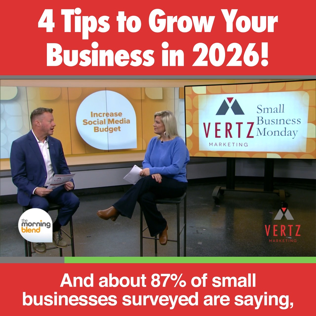 Vertz Marketing Digital Marketing Agency ad creative