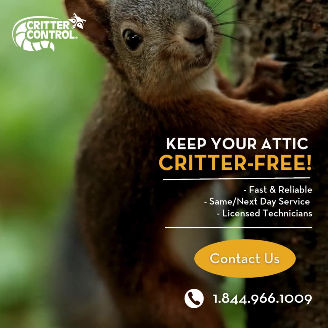 Critter Control Pest Control ad creative