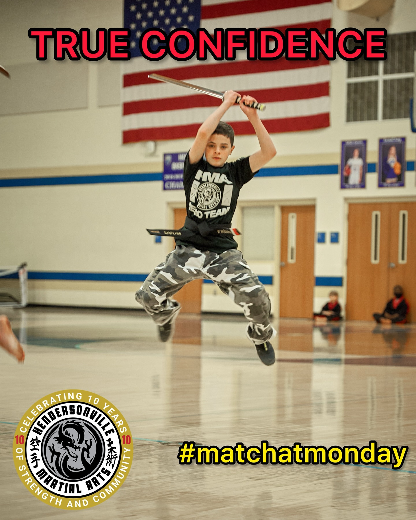 Hendersonville Martial Arts Martial Arts ad creative