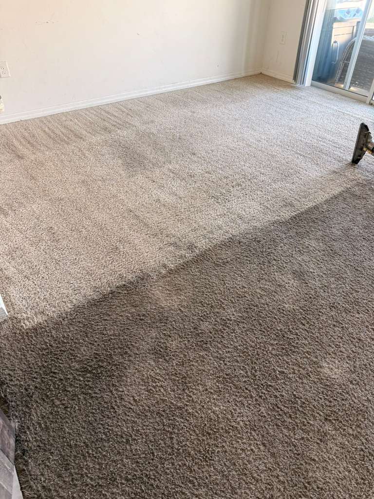Carpet Cleaning Free Quote