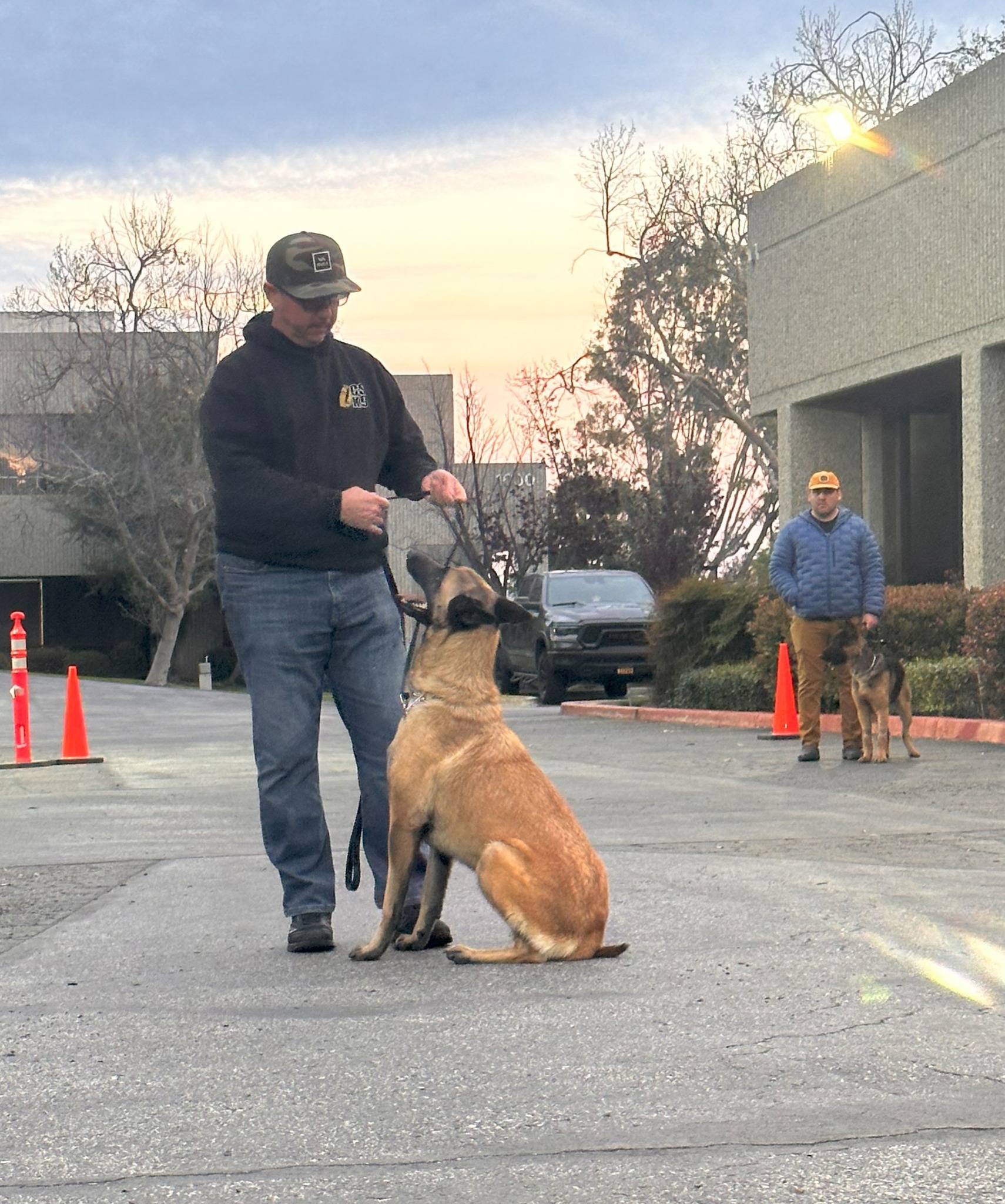 Basic K9 Obedience Training Academy