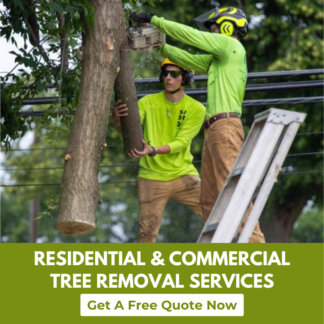 Get a Free Estimate
