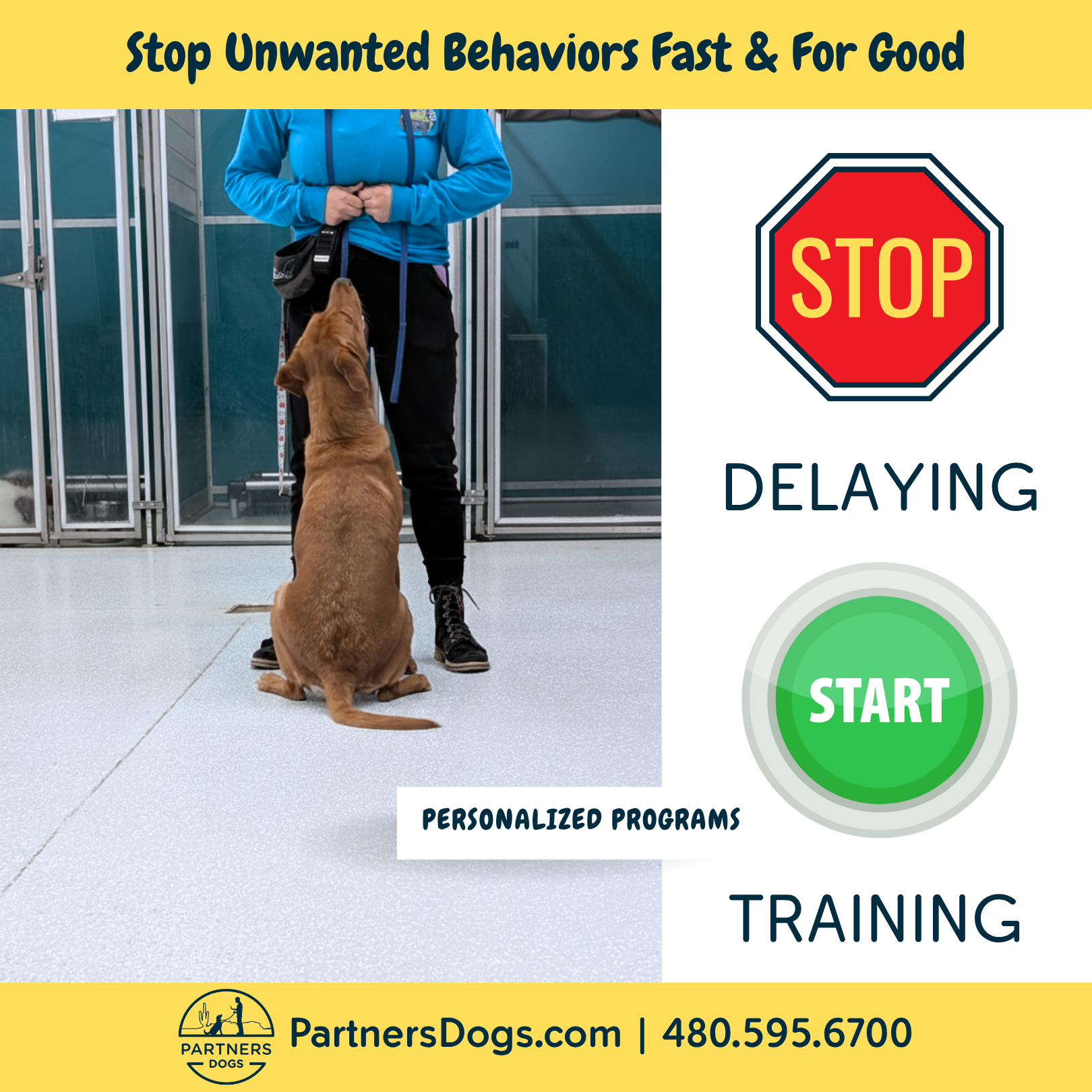 Fast Results. Lasting Change. ⚡ Discover Why Immersive Training Works Faster Than Weekly Sessions for Behavior Modification.