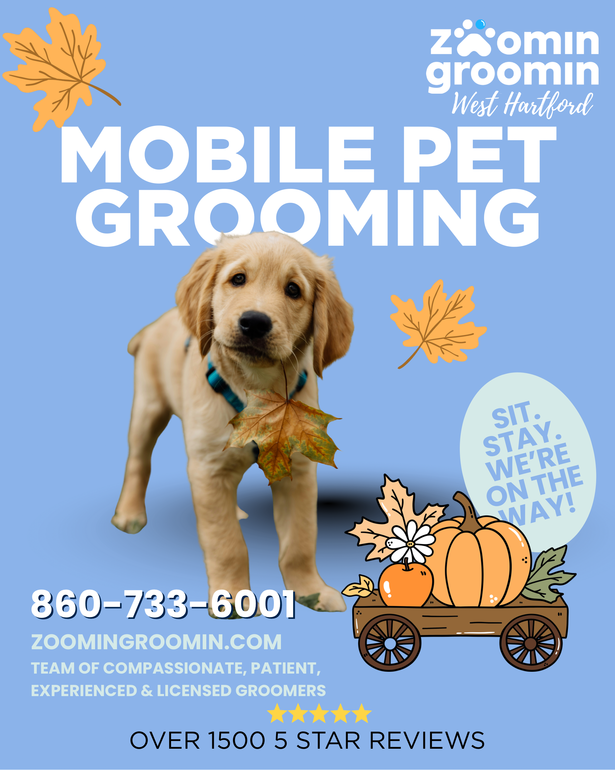 Mobile Pet Grooming in West Hartford, CT | Zoomin Groomin