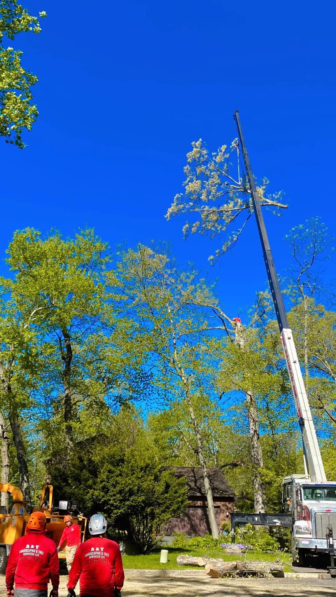 A & Y Landscaping & Tree Services LLC