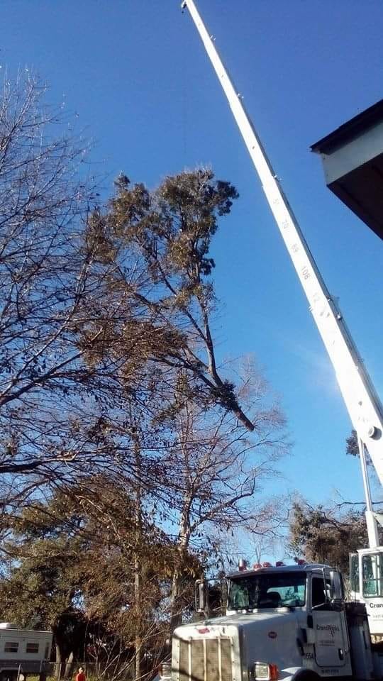 Heaven Sent Tree Service and Recovery Inc