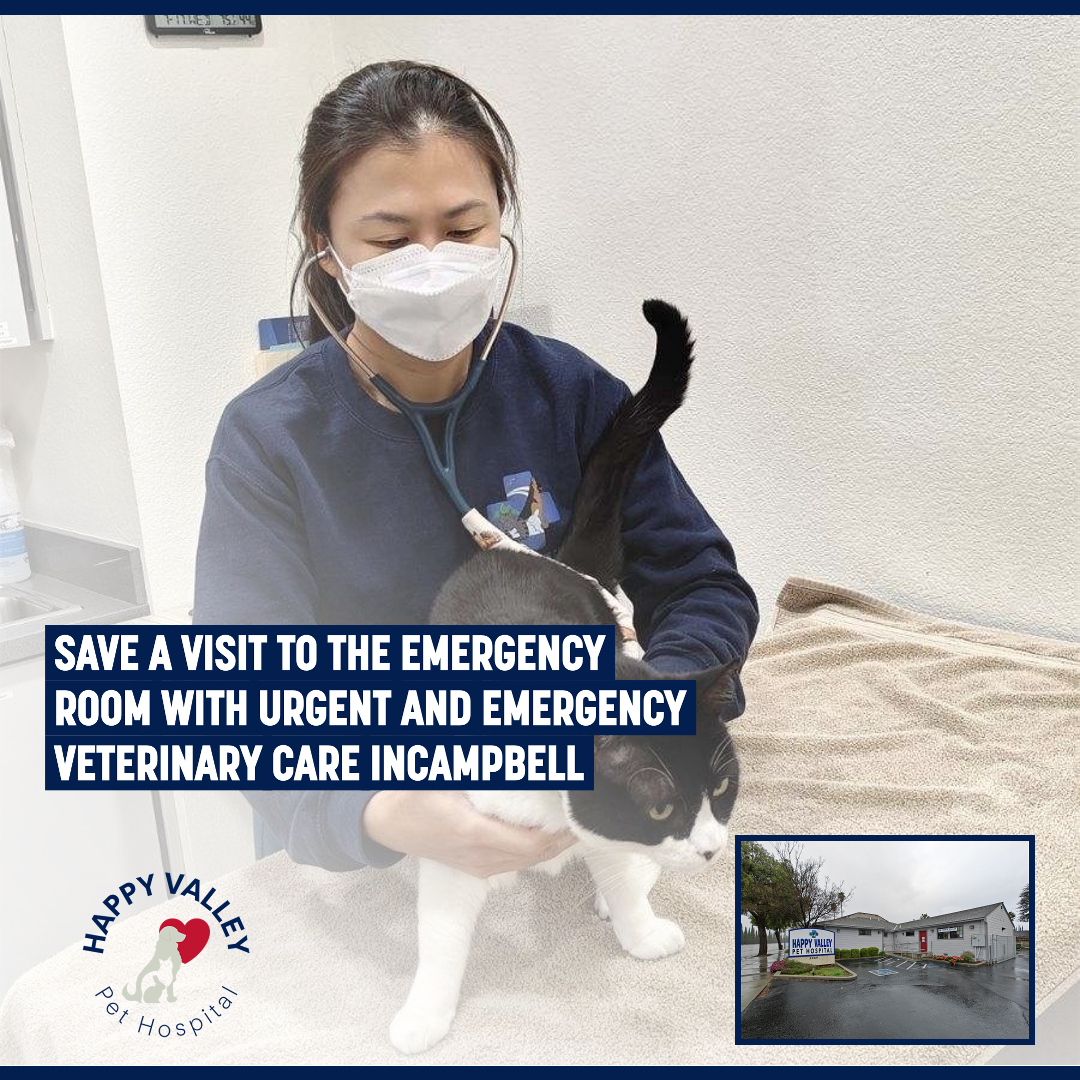 Happy Valley Pet Hospital