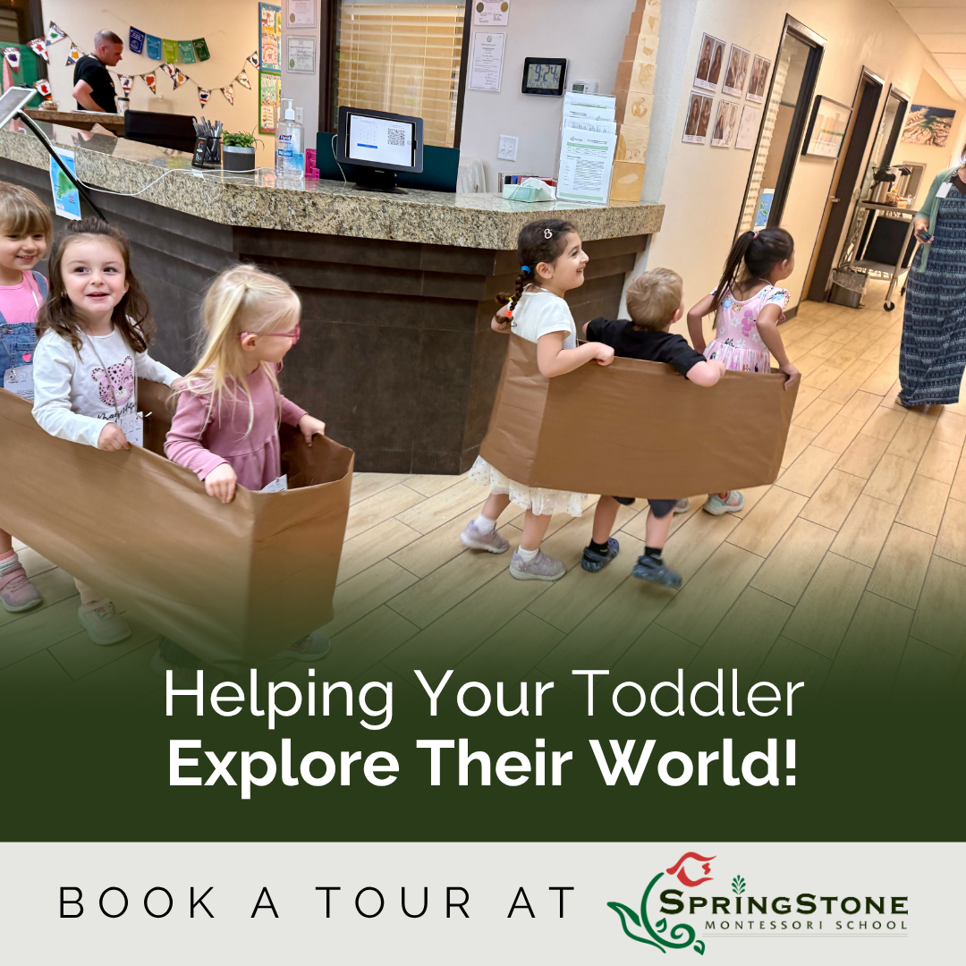 SpringStone Montessori School Preschool ad creative
