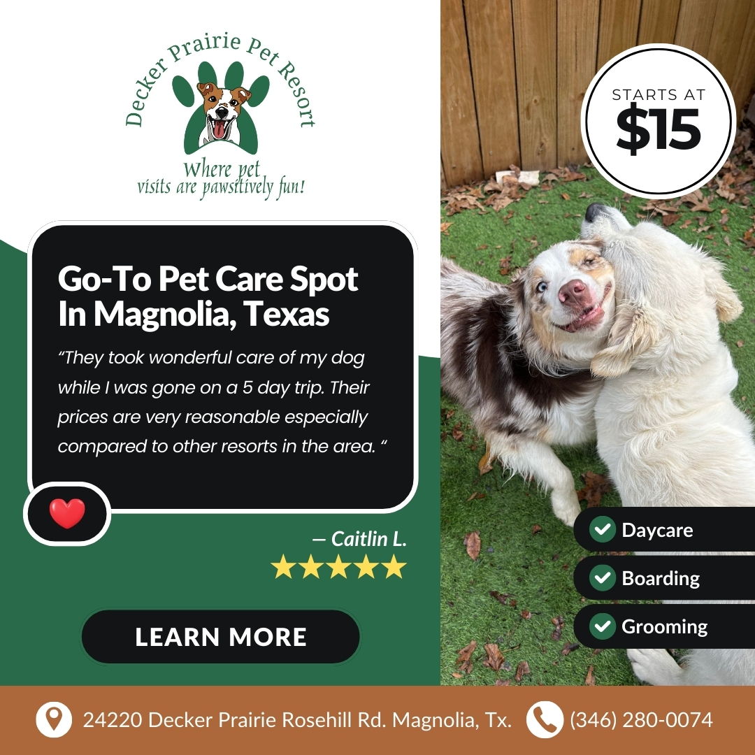Today's Pet Care Pet Boarding ad creative