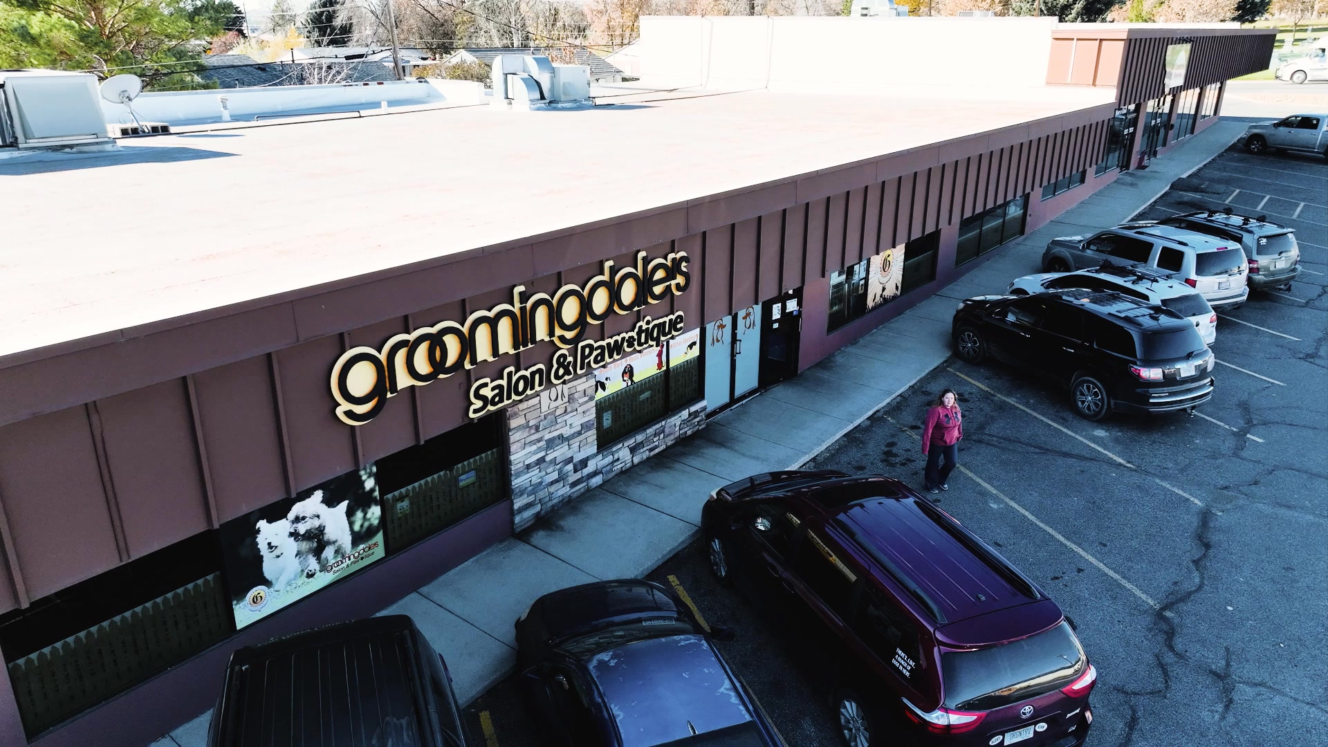 Groomingdale's Salon&Paw-tique Pet Grooming ad creative