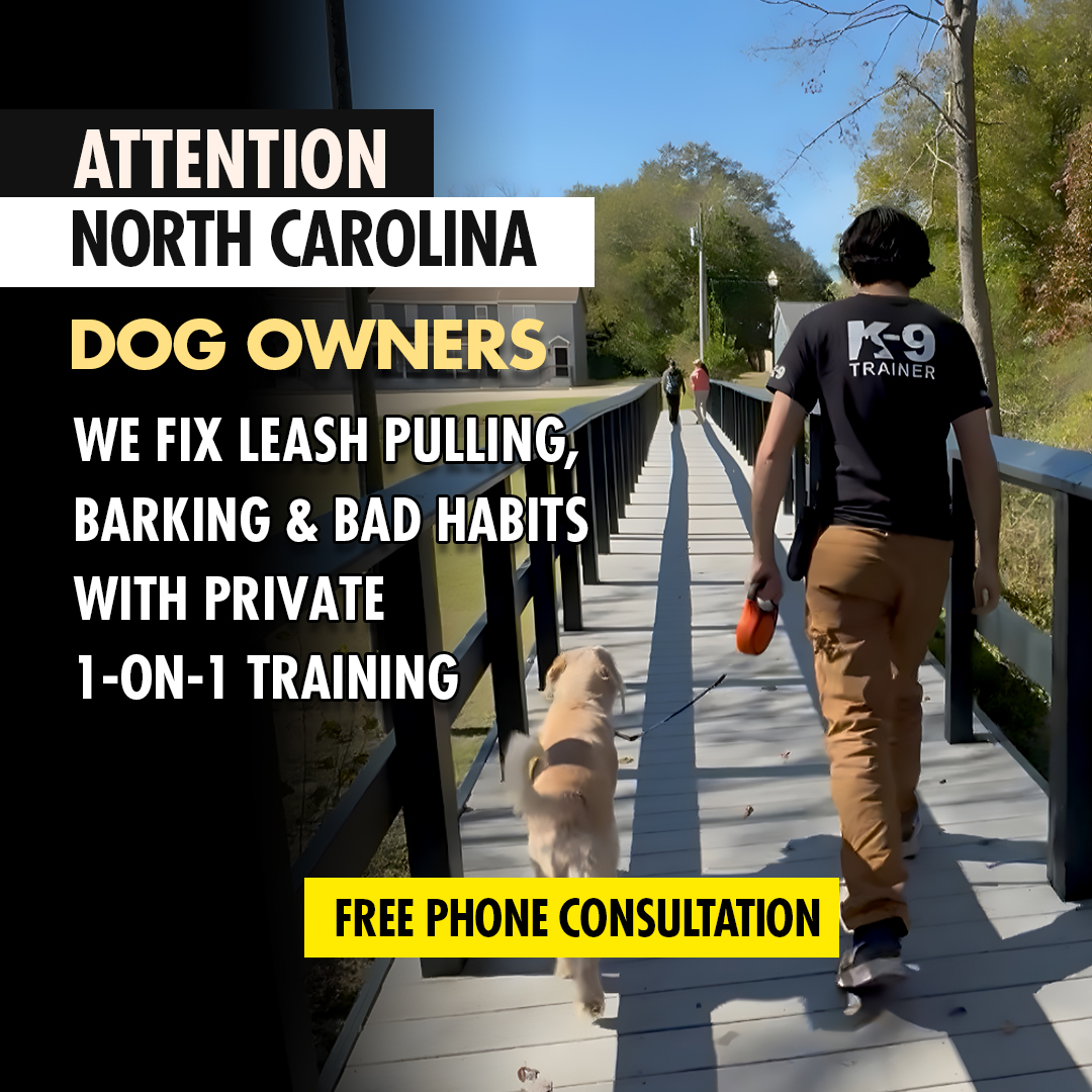 Get the Calm, Well-Mannered Dog You’ve Always Wanted!