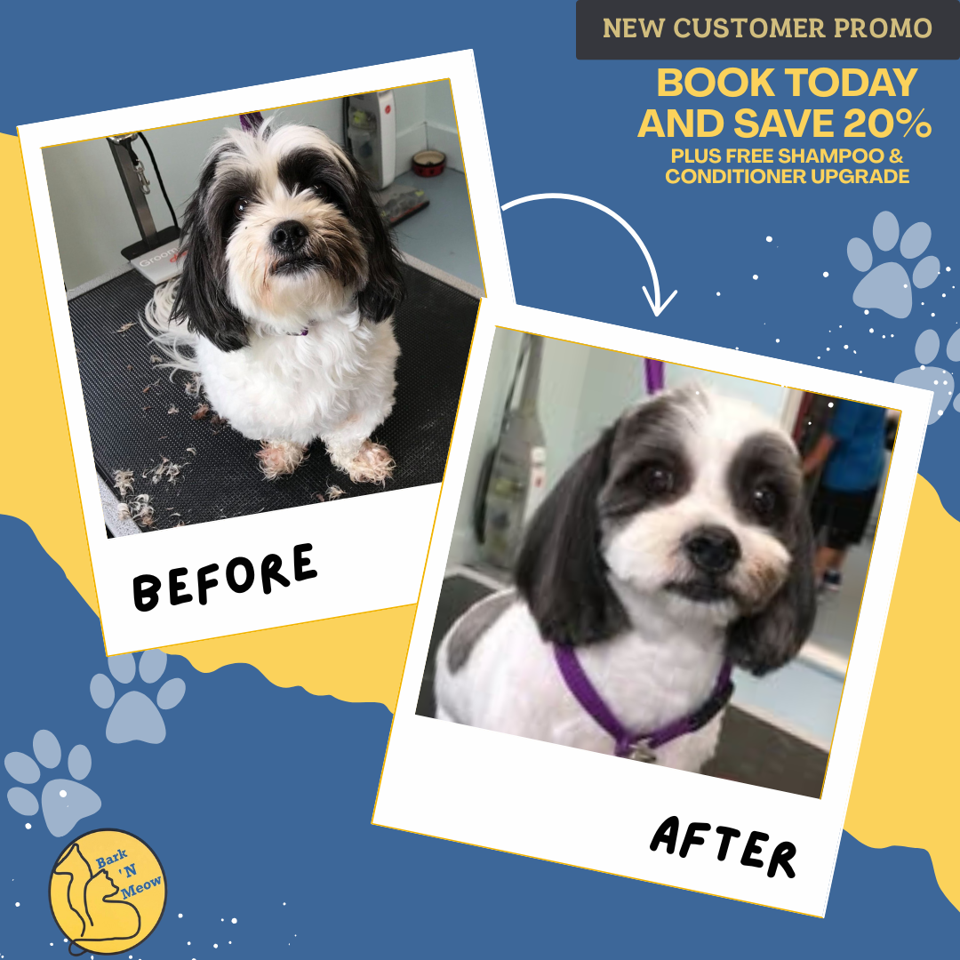 SAVE 20% Now + FREE upgrade 👉