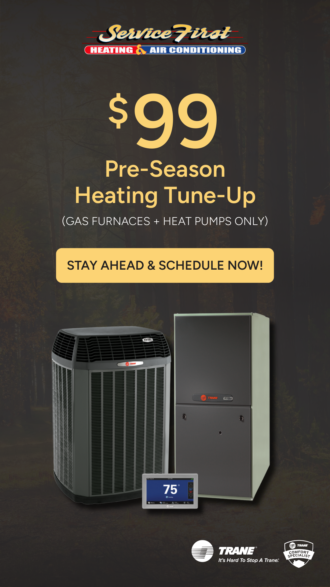 $99 Heating Tune-Up