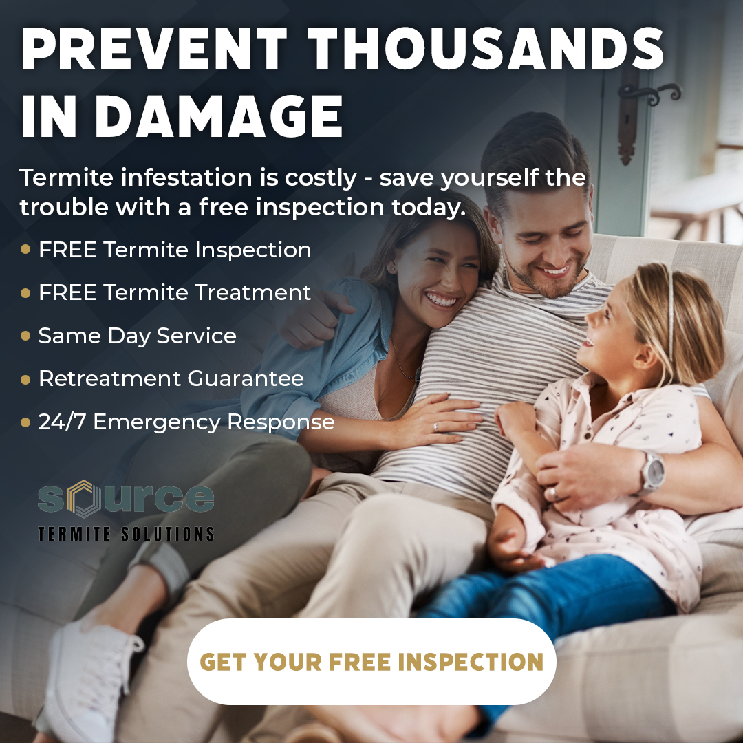 Termite Damage? Get Free Inspection