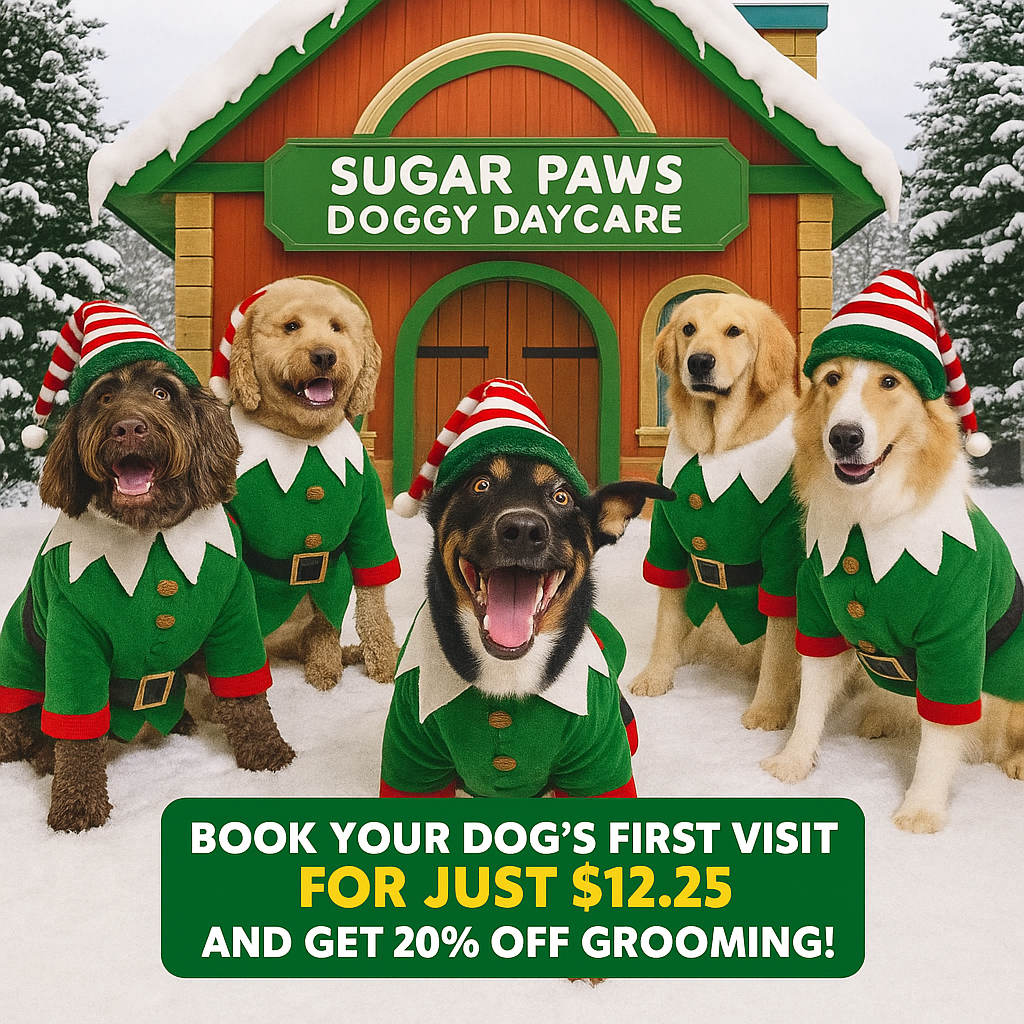 ✨ First visit only $12.25 + 20% OFF Grooming!