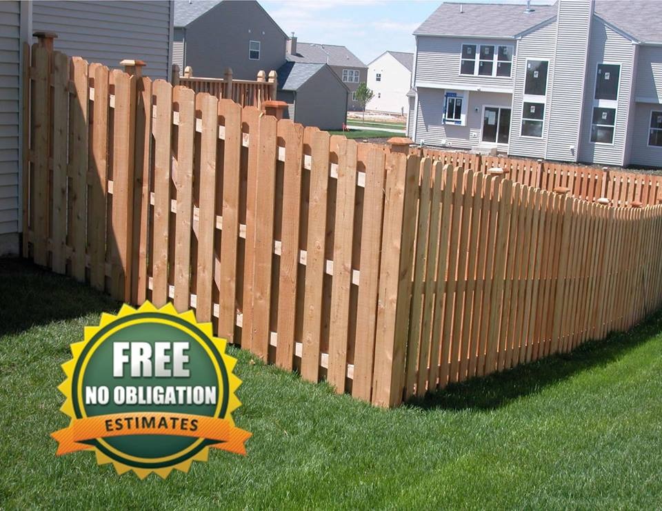 Charlotte's Fence Leader