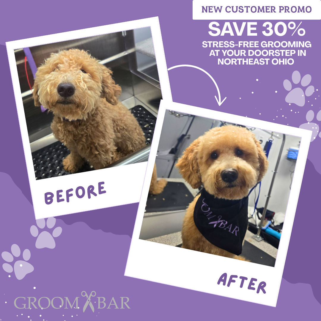 Groombar Mobile NEO Pet Grooming ad creative