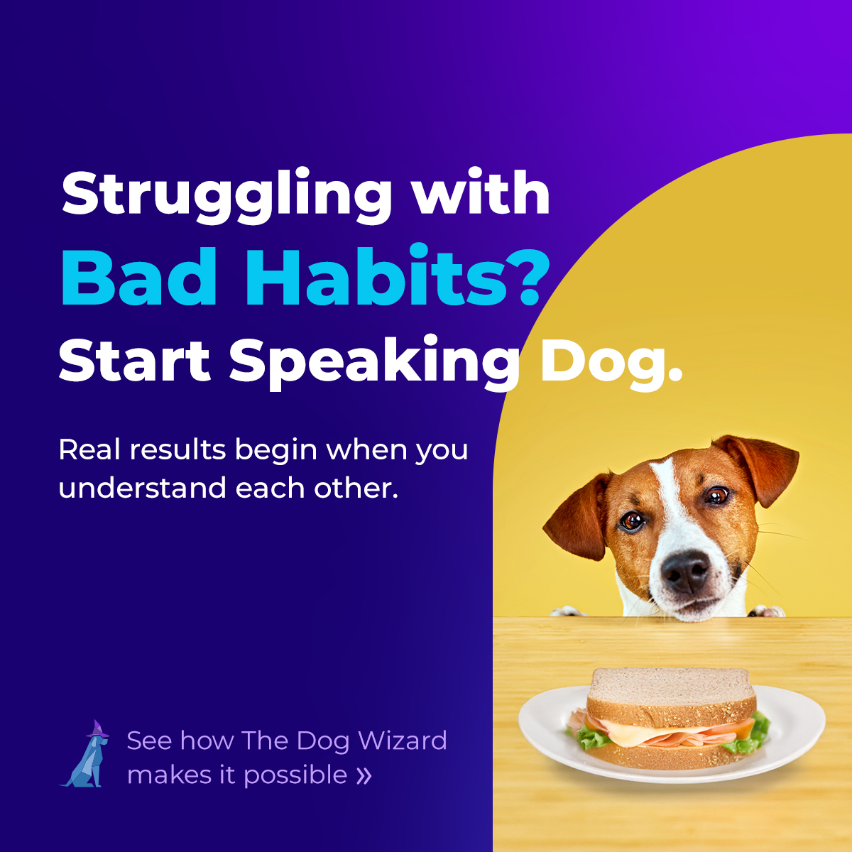 The Dog Wizard Farmington Hills