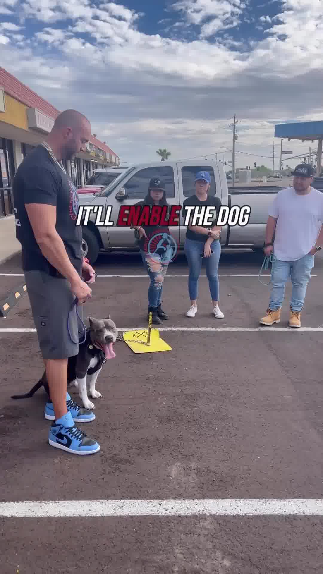 Free Dog Training Consult✅