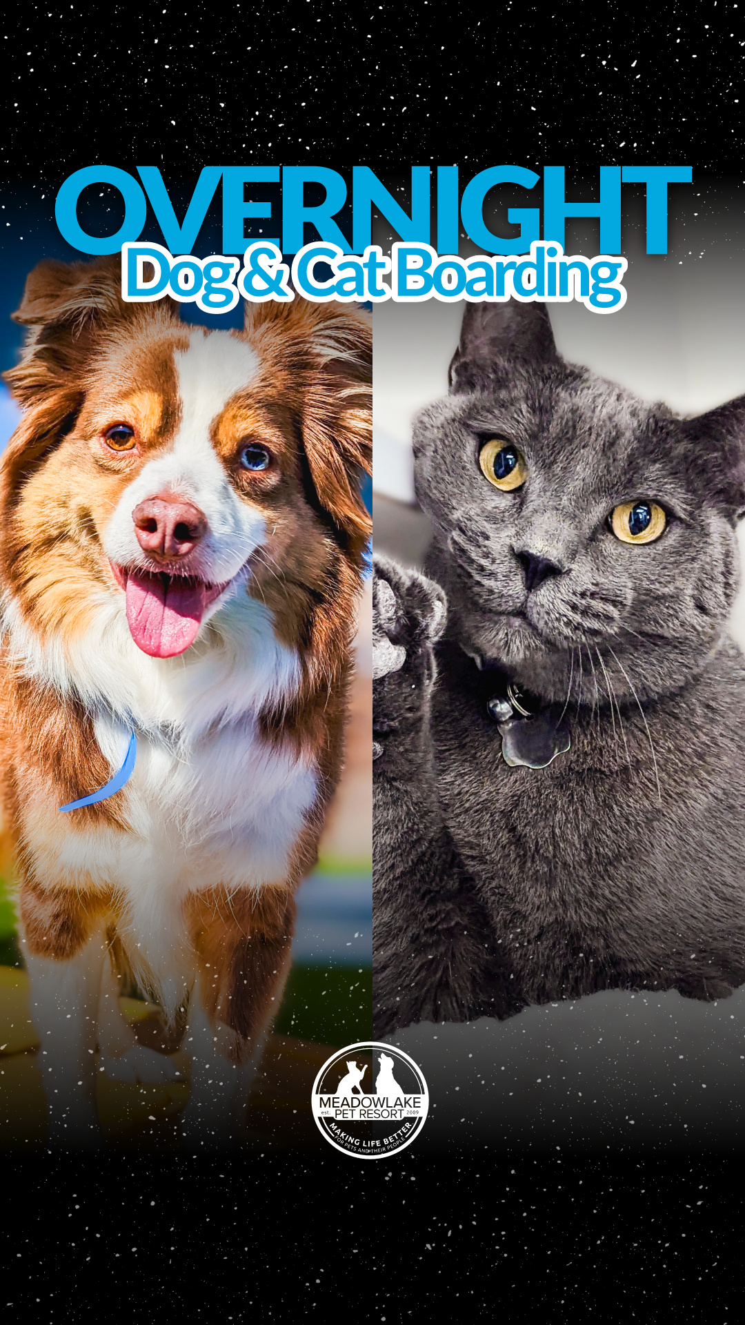 Meadowlake Pet Resort Pet Boarding ad creative