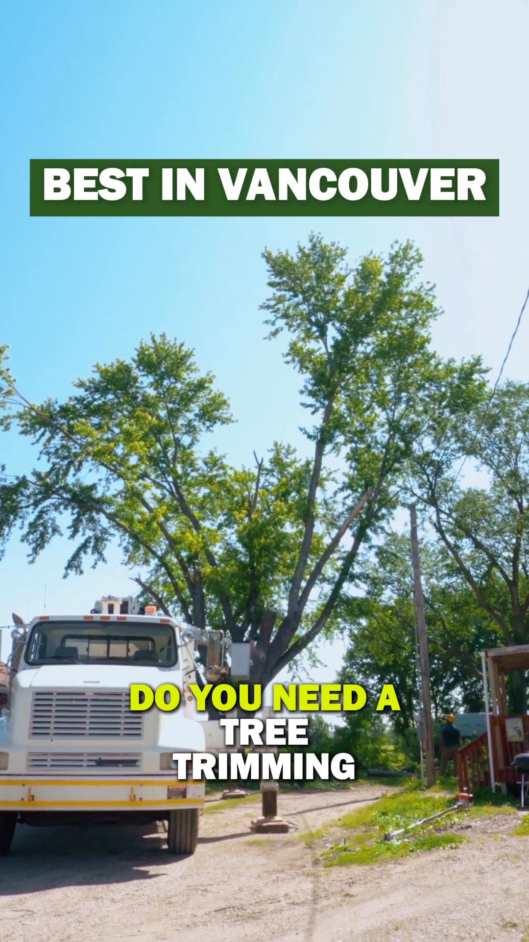 Best Tree Service, guaranteed!