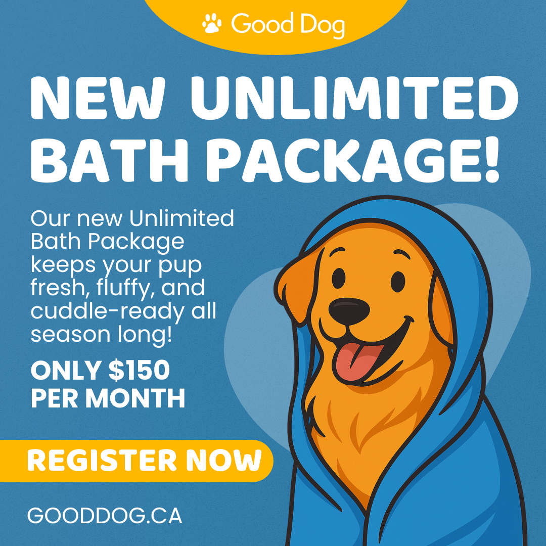 Trusted by Thousands of Tri-Cities Dog Parents