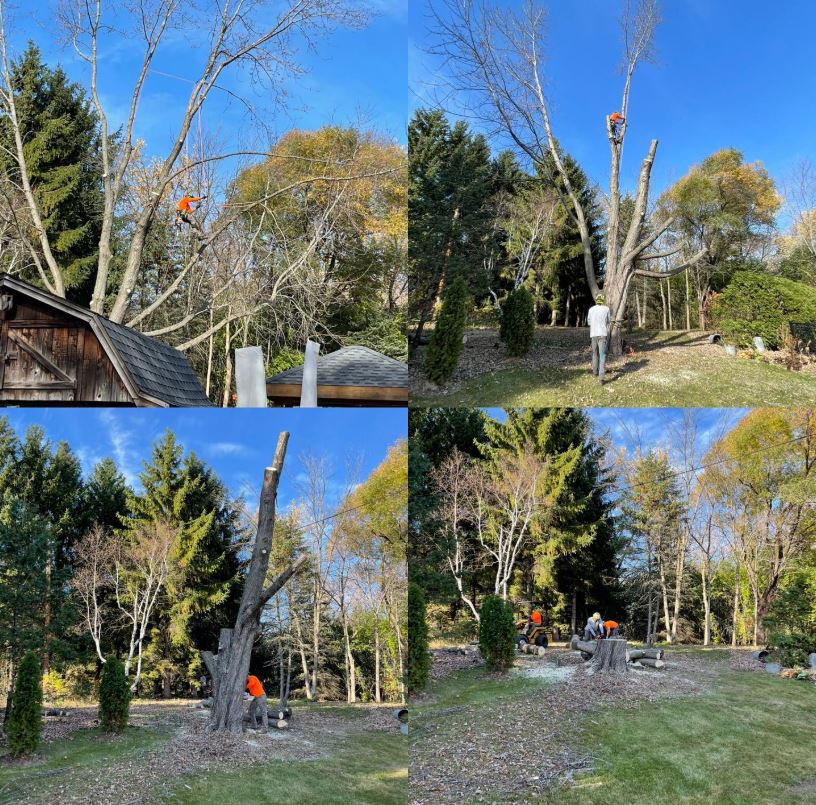 Winter Schedule Open!