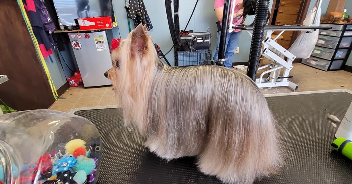 25% OFF YOUR FIRST VISIT!💯