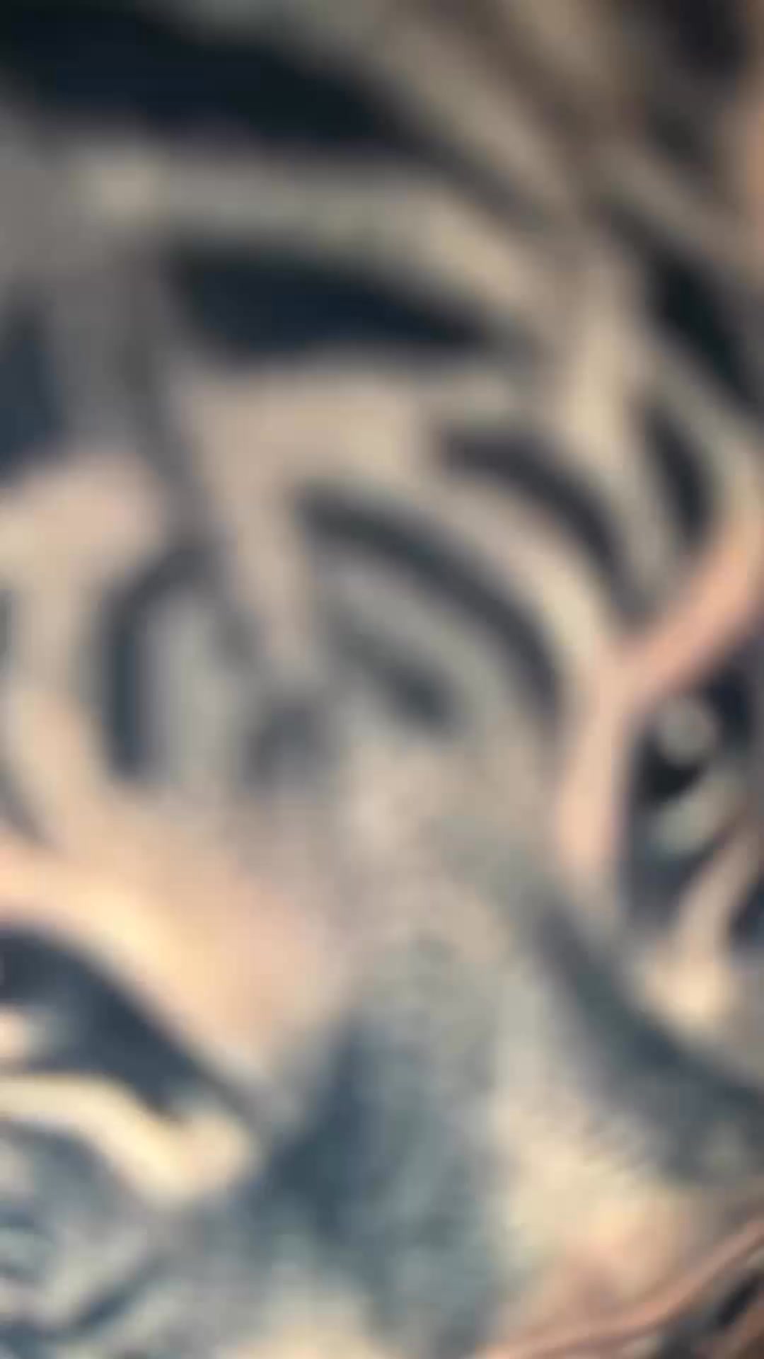 Custom Tattoos by Rowlett’s Best Artists