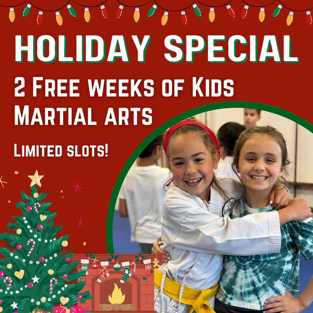 Traditional Okinawan Karate of East Fishkill Martial Arts ad creative