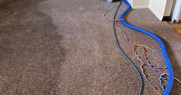 406 Carpet Cleaning Carpet Cleaning ad creative