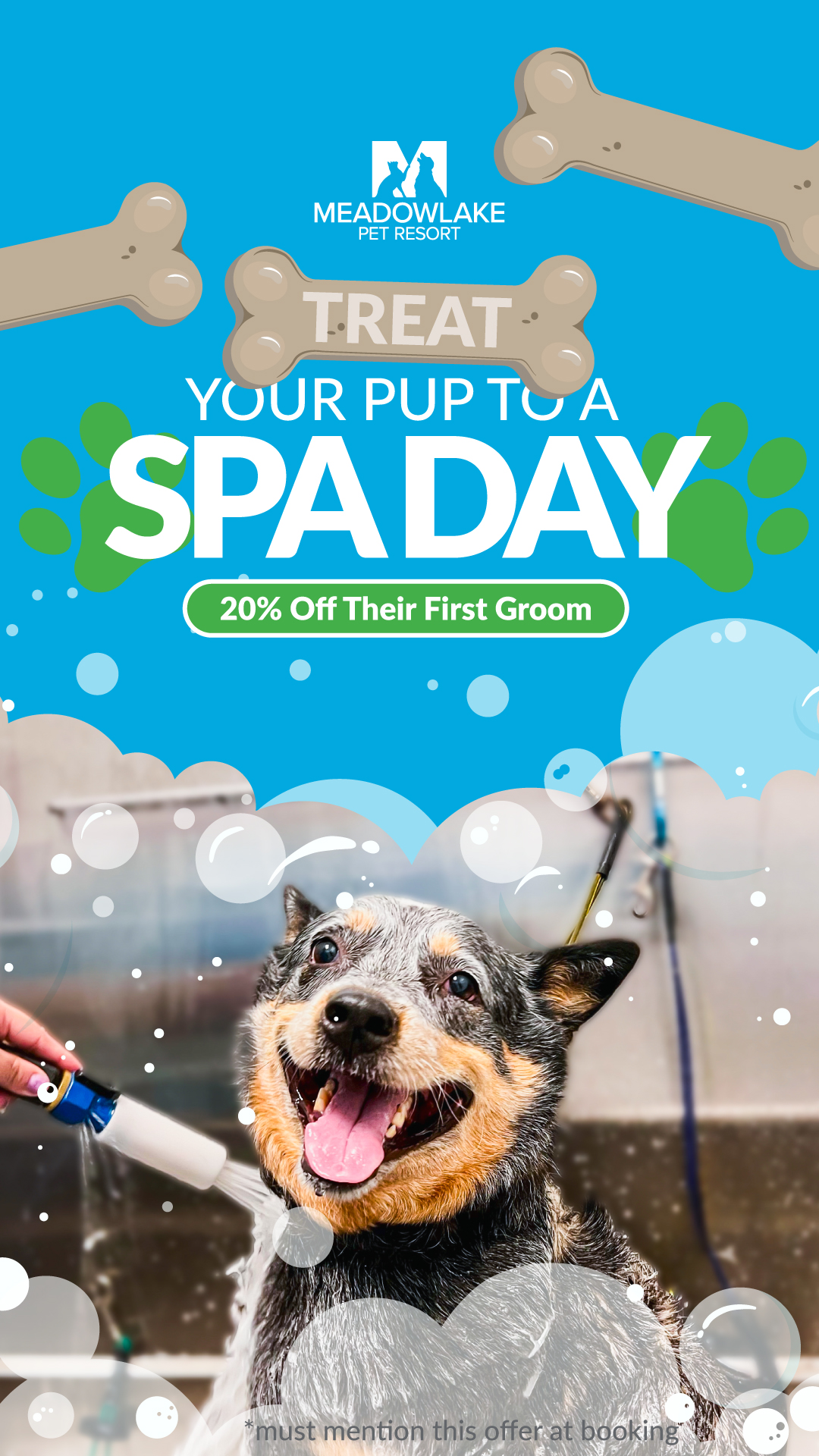 Luxury Pet Spa Services in Houston