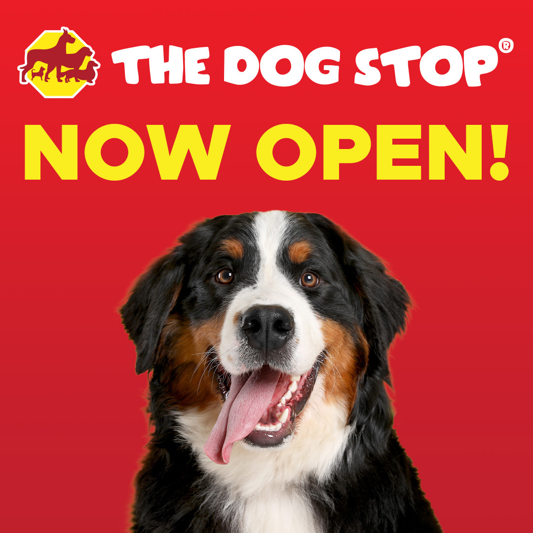 The Dog Stop - Oviedo, FL Pet Boarding ad creative