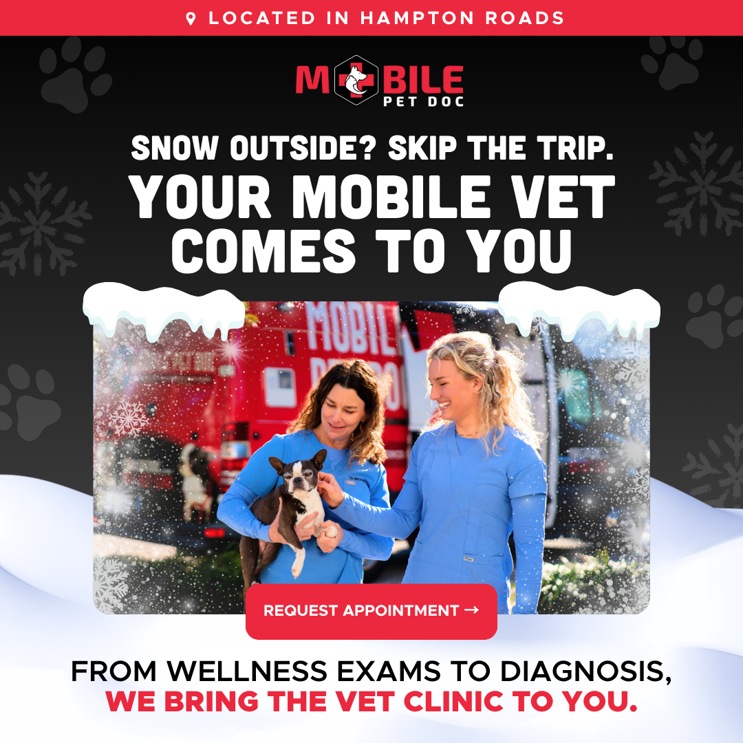 Your pet’s health shouldn’t wait for perfect weather.