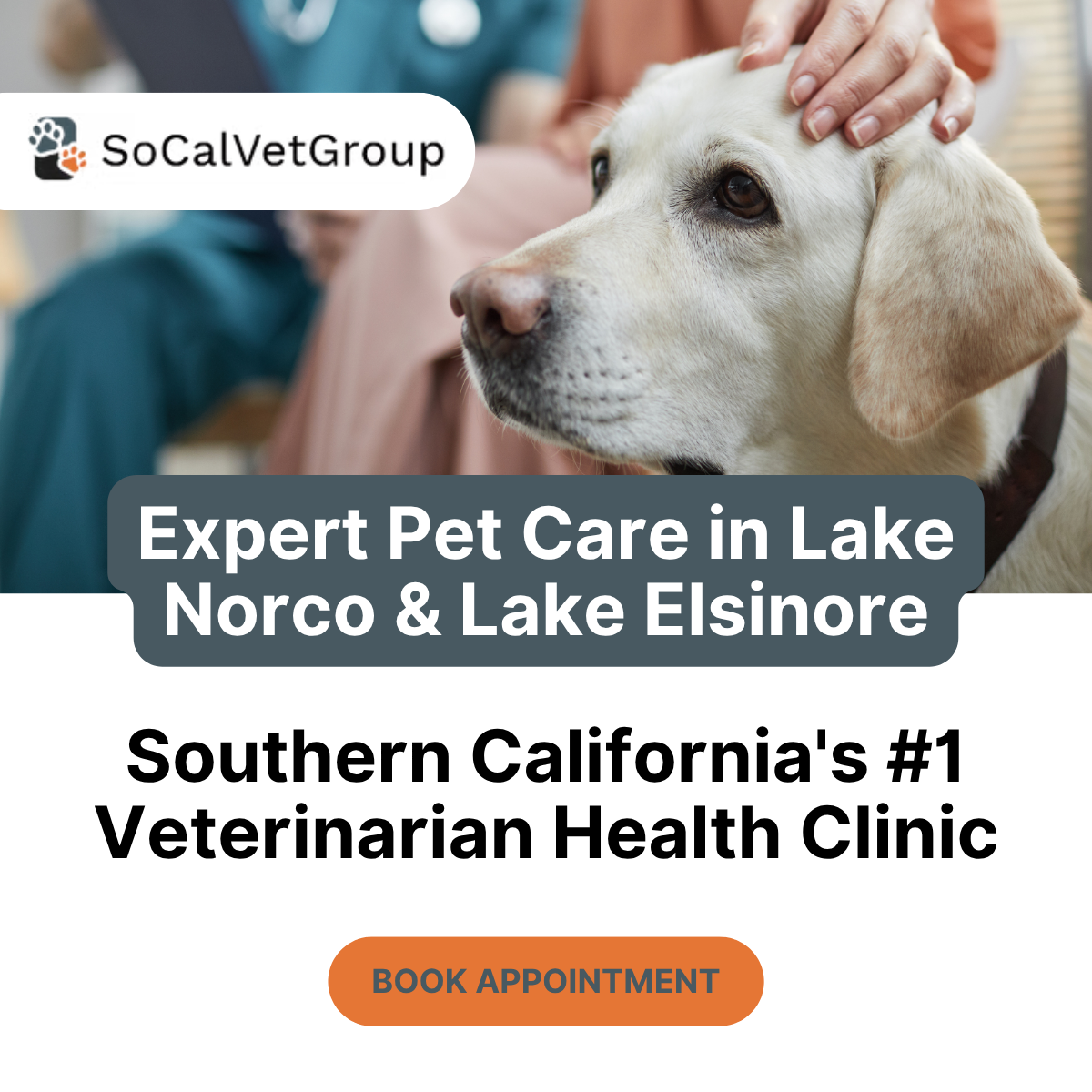 Shorter wait times | Lower costs | Expert care