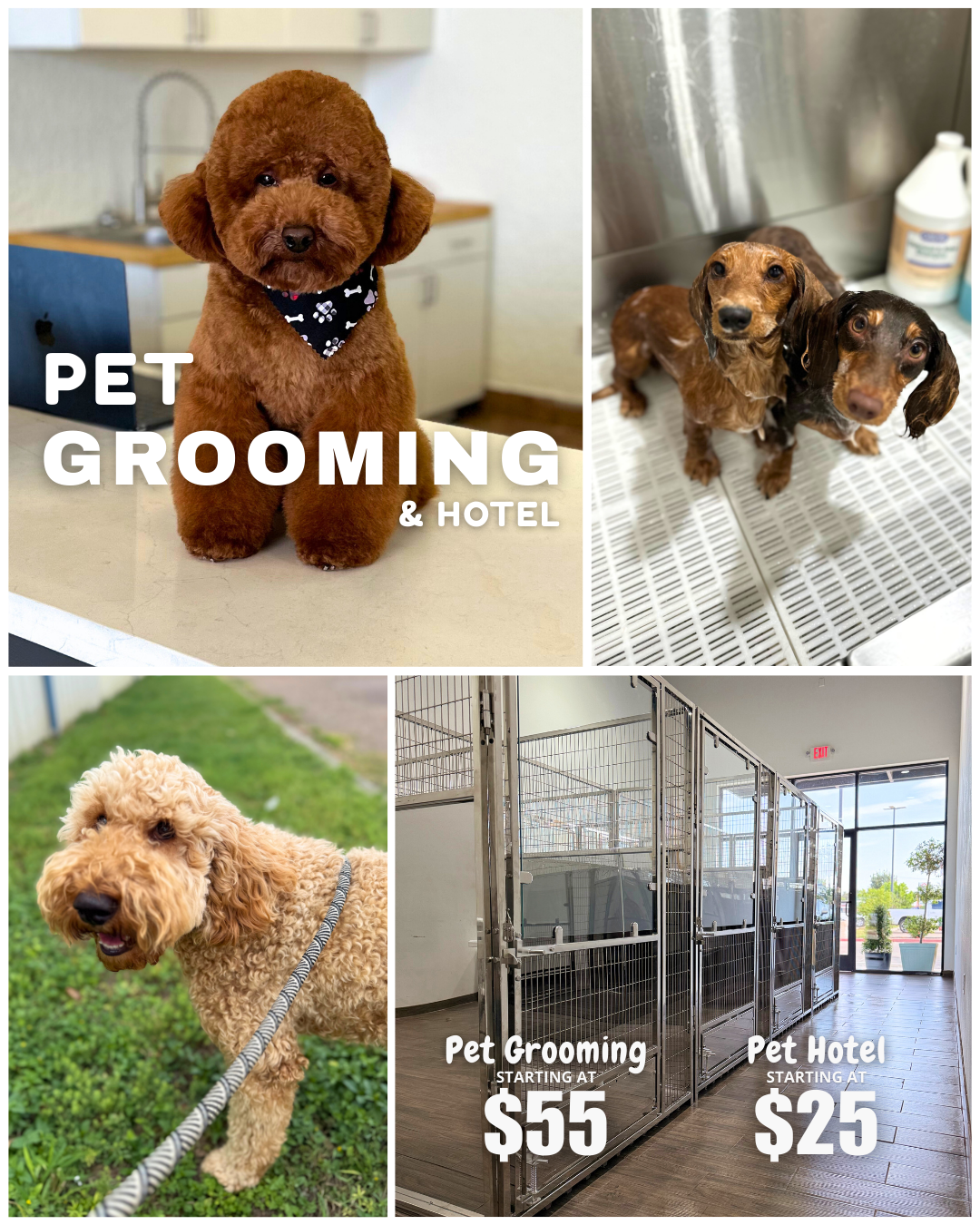 Happy Pets, Happy Owners: Grooming & Hotel