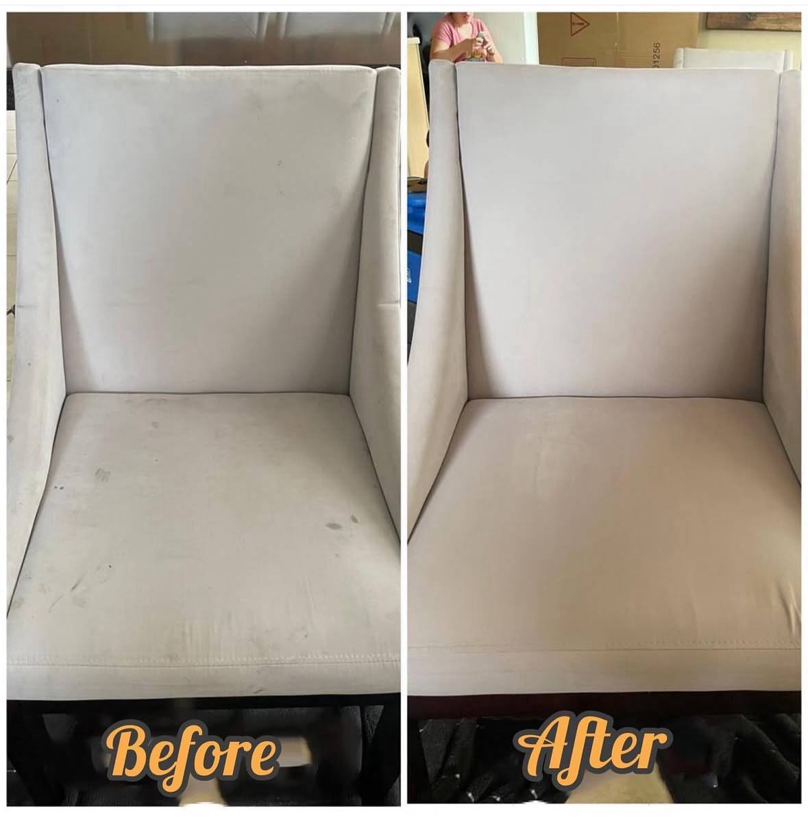 Clean your carpet today!