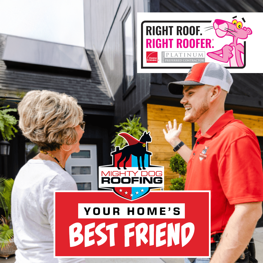 Mighty Dog Roofing Tucson Roofing ad creative