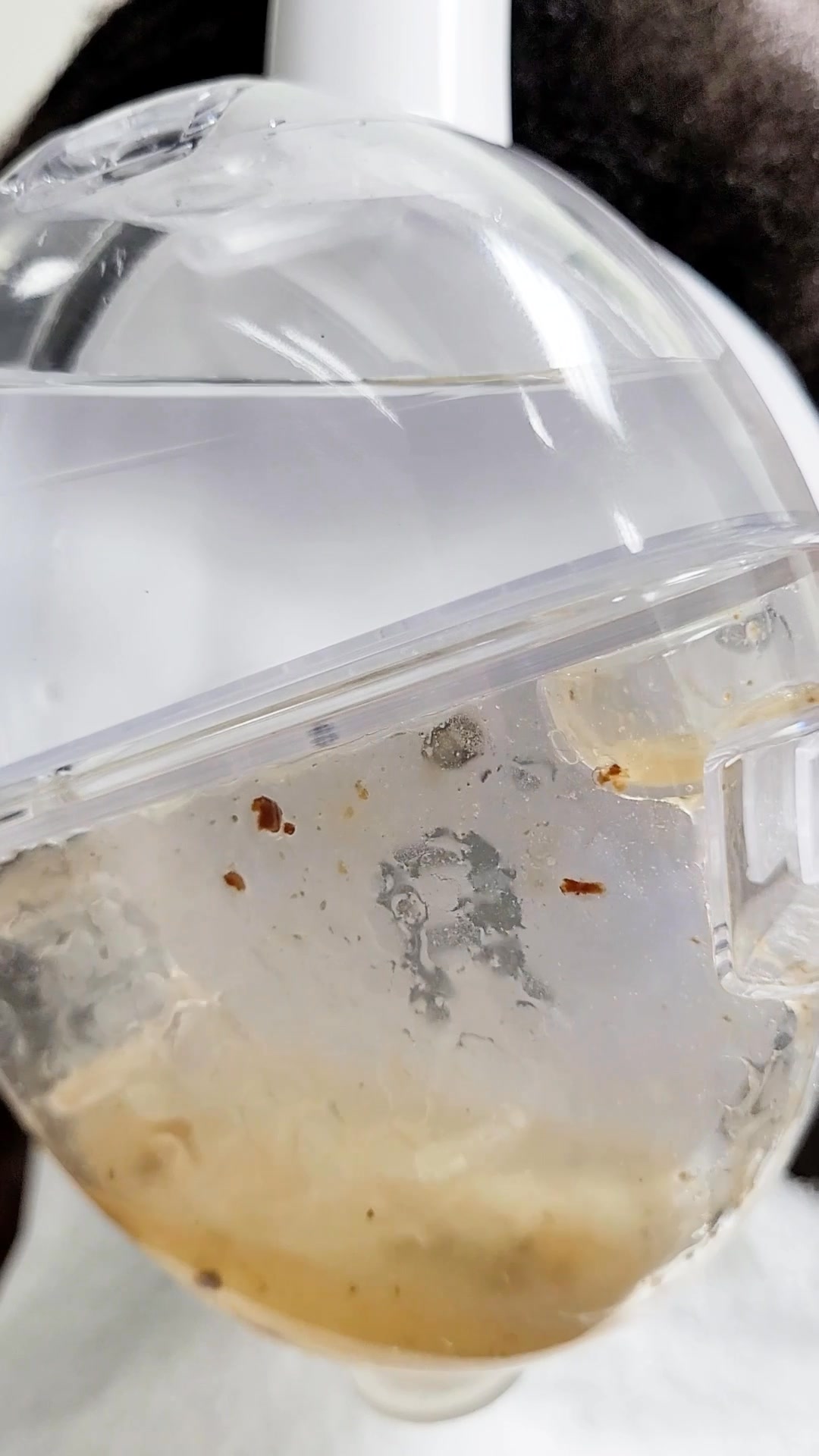 All Ears Ear Care Studios - Powered by OtoSet Hearing / Audiology ad creative