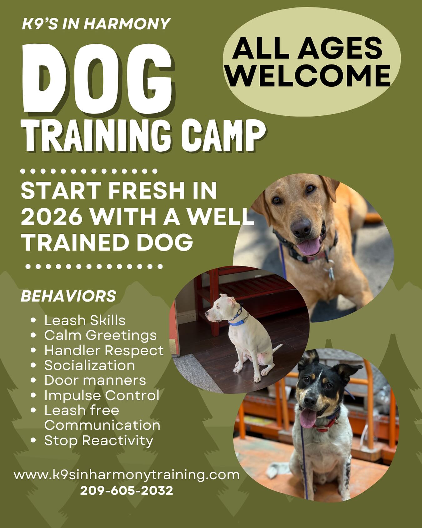 K9's in Harmony Dog Training