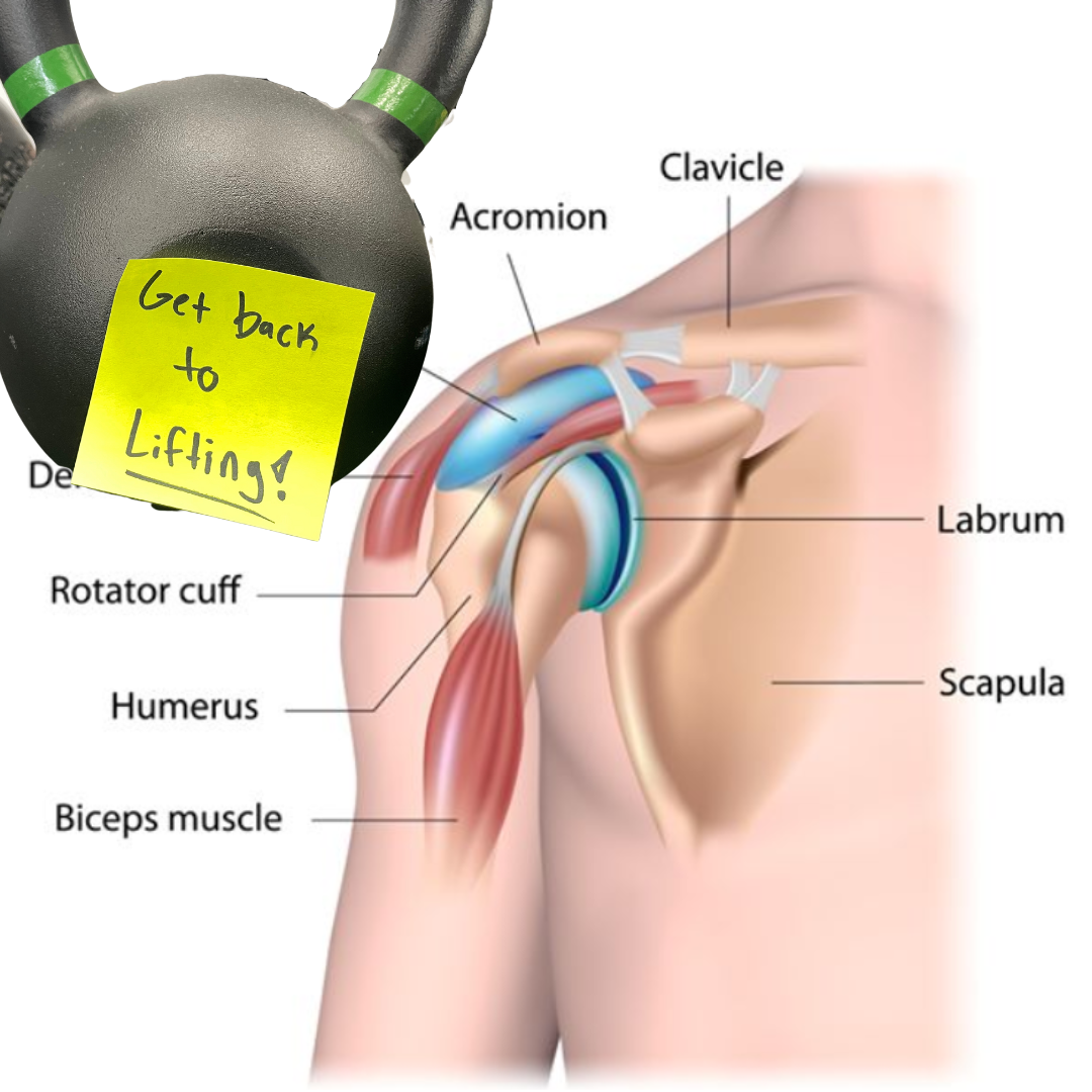 $67 Complete Shoulder Diagnostic w/ Answers