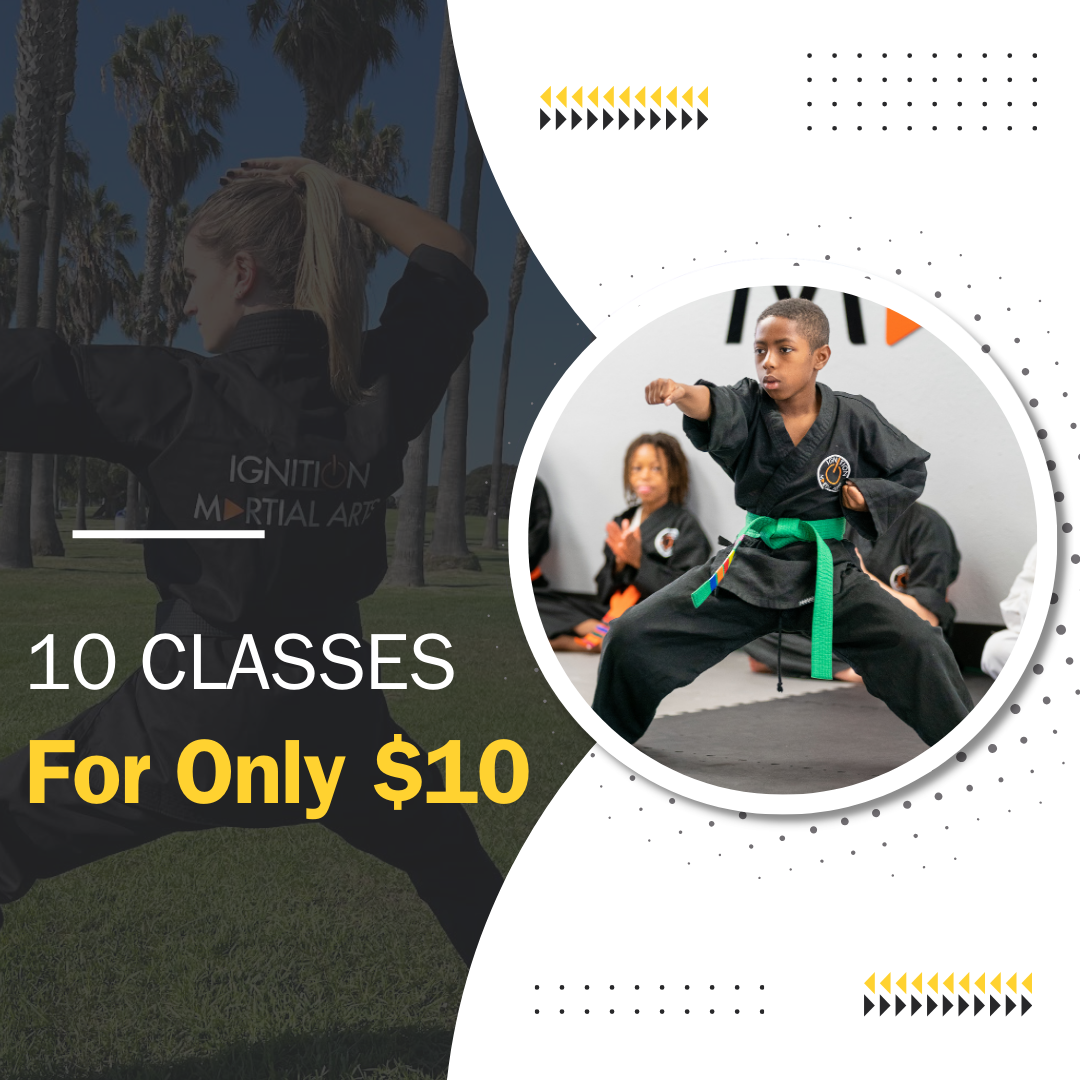 Ignition Martial Arts Martial Arts ad creative