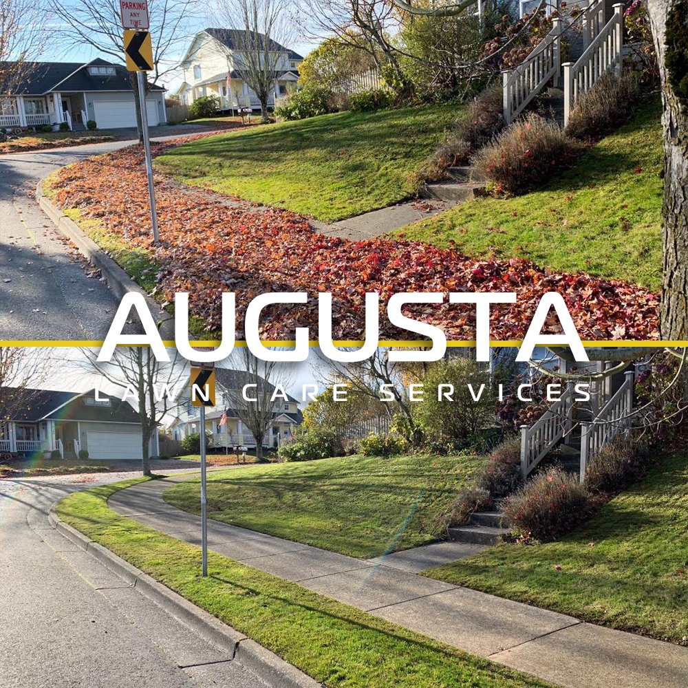 Transform Your Yard with Augusta Lawn Care!