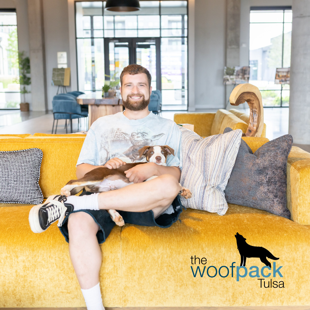 Your Dog’s New Favorite Walker 🐾