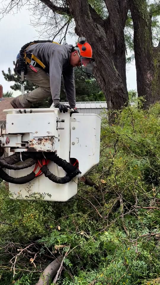 Get Your Free Quote Today