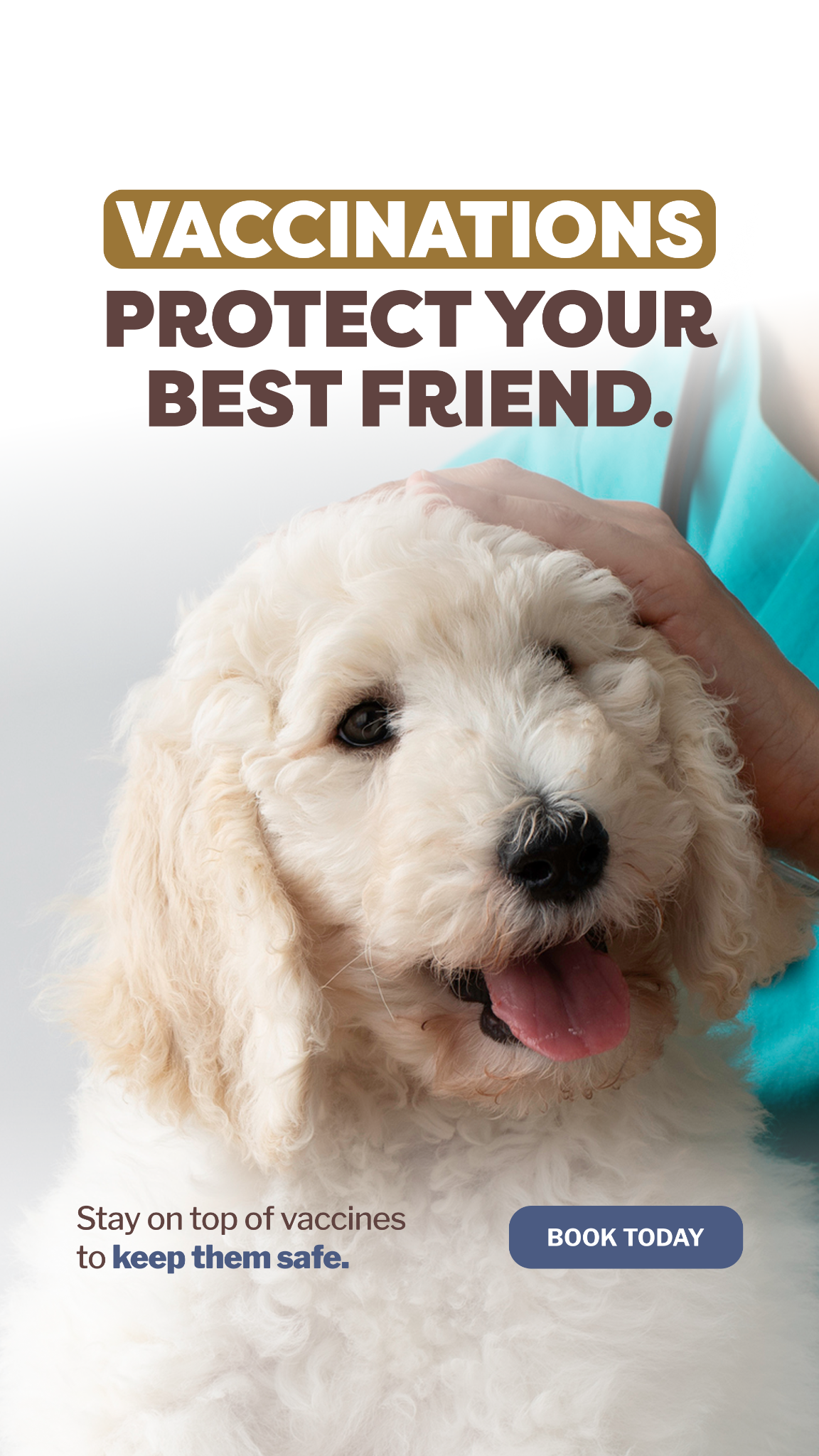 Is Your Pet Protected?