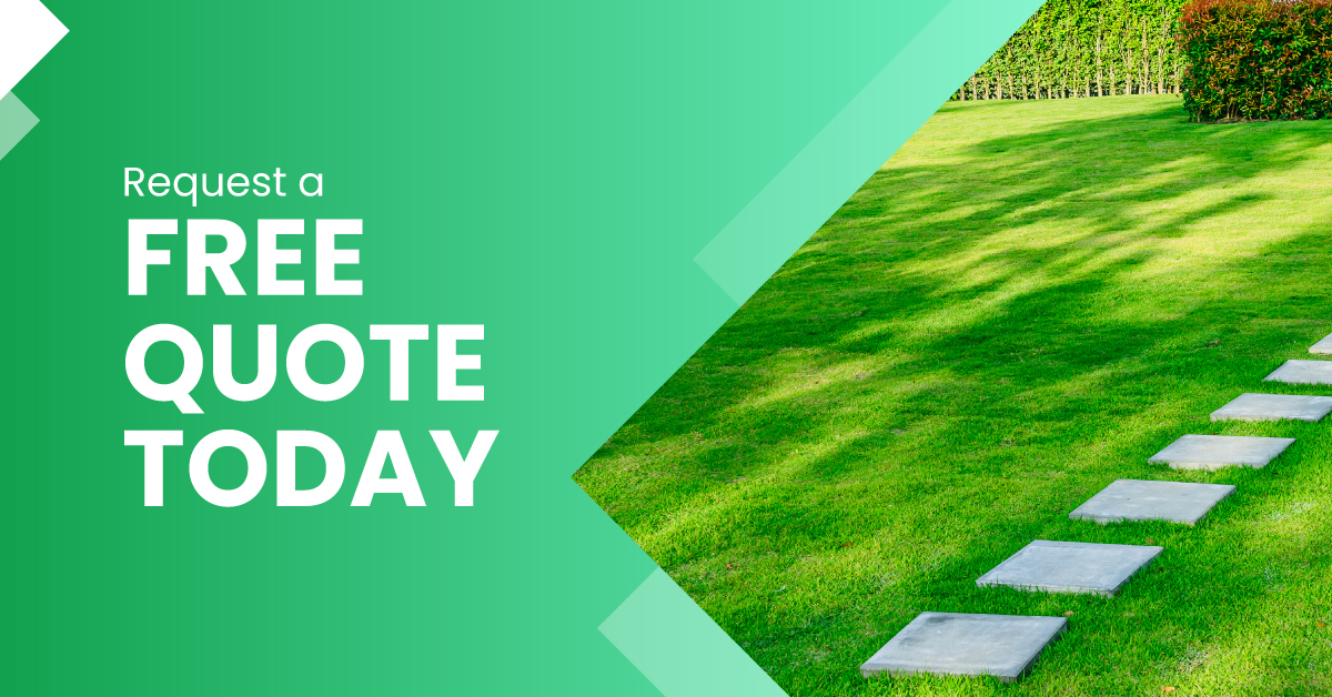 Yard Care that Exceeds Expectations